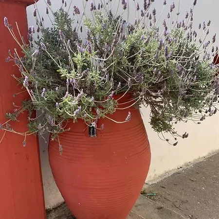 Grey House * Chorafakia